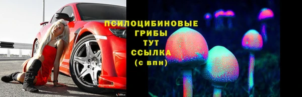 трава Армянск