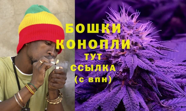 крисы Аркадак