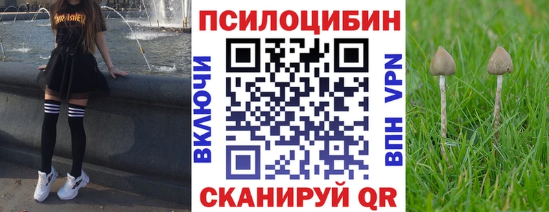 Псилоцибиновые грибы мицелий  blacksprut вход  Суджа 