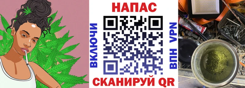 Бошки Шишки конопля  купить  цена  Суджа 
